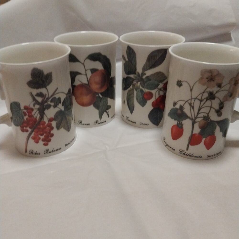 Set of 4 Dunoon Fine China Mugs